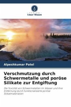 Verschmutzung durch Schwermetalle und poröse Silikate zur Entgiftung - Patel, Alpeshkumar