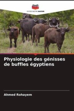 Physiologie des génisses de buffles égyptiens - Rohayem, Ahmed
