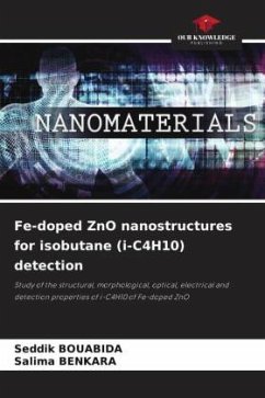 Fe-doped ZnO nanostructures for isobutane (i-C4H10) detection - BOUABIDA, Seddik;BENKARA, Salima