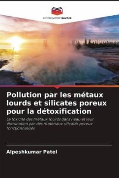 Pollution par les métaux lourds et silicates poreux pour la détoxification - Patel, Alpeshkumar