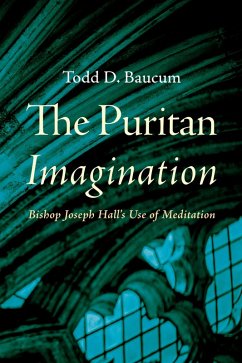 The Puritan Imagination (eBook, ePUB)