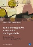 Familienintegrative Ansätze für die Jugendhilfe (eBook, PDF)