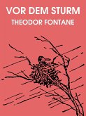 Vor dem Sturm (eBook, ePUB)