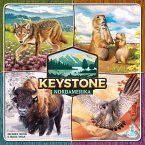 Keystone Nordamerika (Spiel)