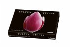Tulpen, Kunstkartenbox