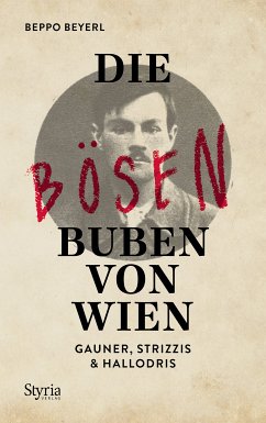 Die bösen Buben von Wien (eBook, ePUB) - Beyerl, Beppo