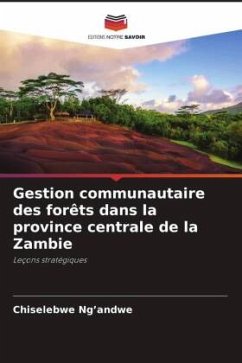 Gestion communautaire des forêts dans la province centrale de la Zambie - Ng'andwe, Chiselebwe