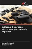 Sviluppo di carbone attivo mesoporoso dalla segatura