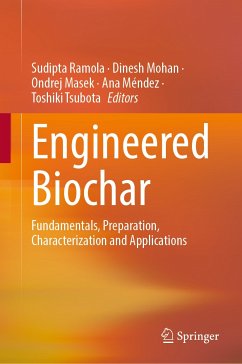 Engineered Biochar (eBook, PDF)