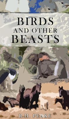 Cover Birds and other Beasts