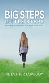 Big Steps, Little Steps: Moving Forward in Our Walk with God (eBook, ePUB)