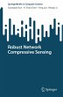 Robust Network Compressive Sensing - Bild 1