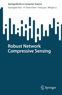 Robust Network Compressive Sensing - Xue, Guangtao;Chen, Yi-Chao;Lyu, Feng