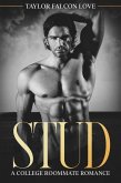 Stud (eBook, ePUB)