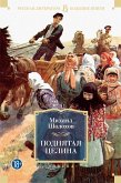 Поднятая целина (eBook, ePUB)