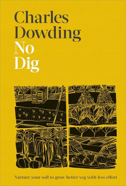 No Dig (eBook, ePUB) No Dig (eBook, ePUB)