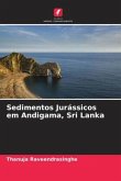 Sedimentos Jurássicos em Andigama, Sri Lanka