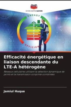 Efficacité énergétique en liaison descendante du LTE-A hétérogène - Huque, Jamiul