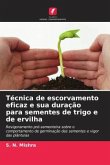 Técnica de escorvamento eficaz e sua duração para sementes de trigo e de ervilha