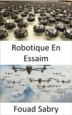 Robotique En Essaim (eBook, ePUB) - Sabry, Fouad