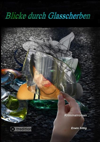 Blicke durch Glasscherben (eBook, ePUB)