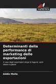 Determinanti della performance di marketing delle esportazioni