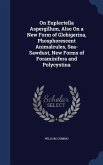 On Euplectella Aspergillum, Also On a New Form of Globigerina, Phosphorescent Animalcules, Sea-Sawdust, New Forms of Foraminifera and Polycystina