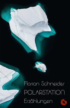 Polarstation - Erzählungen - Schneider, Florian