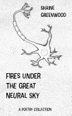 Fires Under the Great Neural Sky (eBook, ePUB) Fires Under the Great Neural Sky (eBook, ePUB)