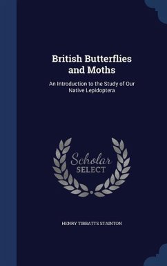 British Butterflies and Moths - Stainton, Henry Tibbatts