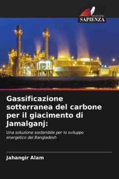 Cover Gassificazione sotterranea del carbone per il giacimento di Jamalganj: