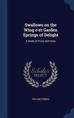 Swallows on the Wing o'er Garden Springs of Delight - Furniss, William