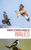 Where to Watch Birds in Wales (eBook, ePUB)