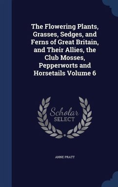 The Flowering Plants, Grasses, Sedges, and Ferns of Great Britain, and Their Allies, the Club Mosses, Pepperworts and Horsetails Volume 6 - Pratt, Anne