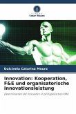 Innovation: Kooperation, F&E und organisatorische Innovationsleistung