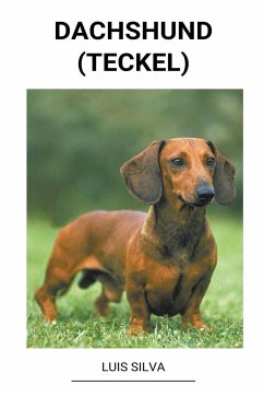 Dachshund (Teckel) - Silva, Luis