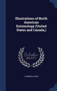 Illustrations of North American Entomology (United States and Canada, ) - Glover, Townend