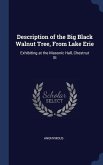 Description of the Big Black Walnut Tree, From Lake Erie: Exhibiting at the Masonic Hall, Chestnut St