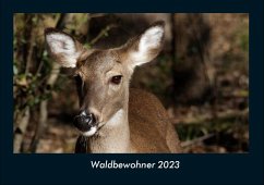 Waldbewohner 2023 Fotokalender DIN A4 - Tobias Becker