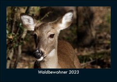 Waldbewohner 2023 Fotokalender DIN A5 - Tobias Becker