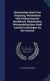 Historischer Brief Vom Ursprung, Wachsthum Und Verheerung Der Hochfürstl. Sächsischen Weissenfelsischen Stadt Laucha In Düringen An Der Unstrut