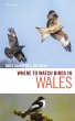 Where to Watch Birds in Wales (eBook,... - Bild 1