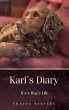 Karl's Diary (eBook, ePUB) - Bild 1