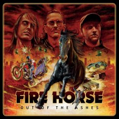 Out Of The Ashes Cover Out Of The Ashes