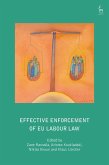 Effective Enforcement of EU Labour Law (eBook, ePUB)