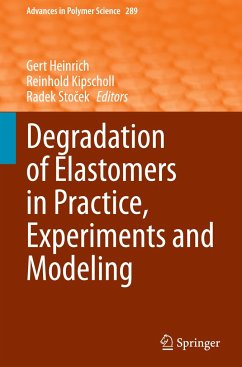 Degradation of Elastomers in Practice, Experiments and Modeling