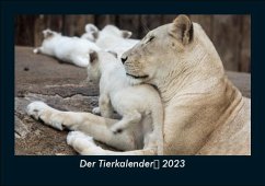 Der Tierkalender 2023 Fotokalender DIN A5 - Tobias Becker