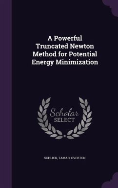 A Powerful Truncated Newton Method for Potential Energy Minimization - Schlick, Tamar; Overton, Overton