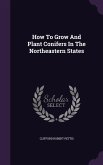 How To Grow And Plant Conifers In The Northeastern States