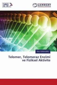 Telomer, Telomeraz Enzimi ve Fiziksel Aktivite